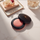 Shiseido Dreamy Whipped Powder Blush Shiseido Dreamy Whipped Powder Blush