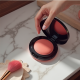Shiseido Dreamy Whipped Powder Blush Shiseido Dreamy Whipped Powder Blush